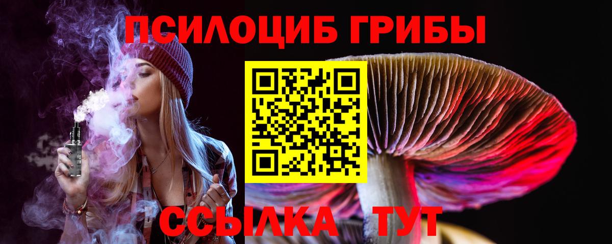 Псилоцибиновые грибы прущие грибы Бор